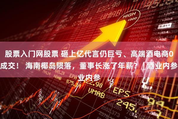 股票入门网股票 砸上亿代言仍巨亏、高端酒电商0成交！ 海南椰岛陨落，董事长涨了年薪？ | 酒业内参